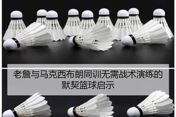 老詹与马克西布朗同训无需战术演练的默契篮球启示